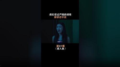 热点爆料搞笑视频转场,笑点连连 第1张 热点爆料搞笑视频转场,笑点连连 第1张